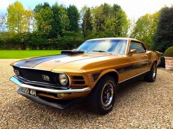 1970 Ford Mustang Twister Special