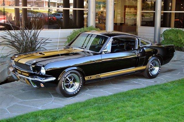 Shelby GT350 kiralamak ister misiniz ?